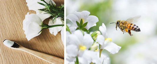 Ben Warren's 10 Tips To Low-Tox Your Life-Grin Natural Products