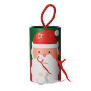 *Limited Edition* Adults Xmas Santa 100% Recycled Dental Flossers 45pk